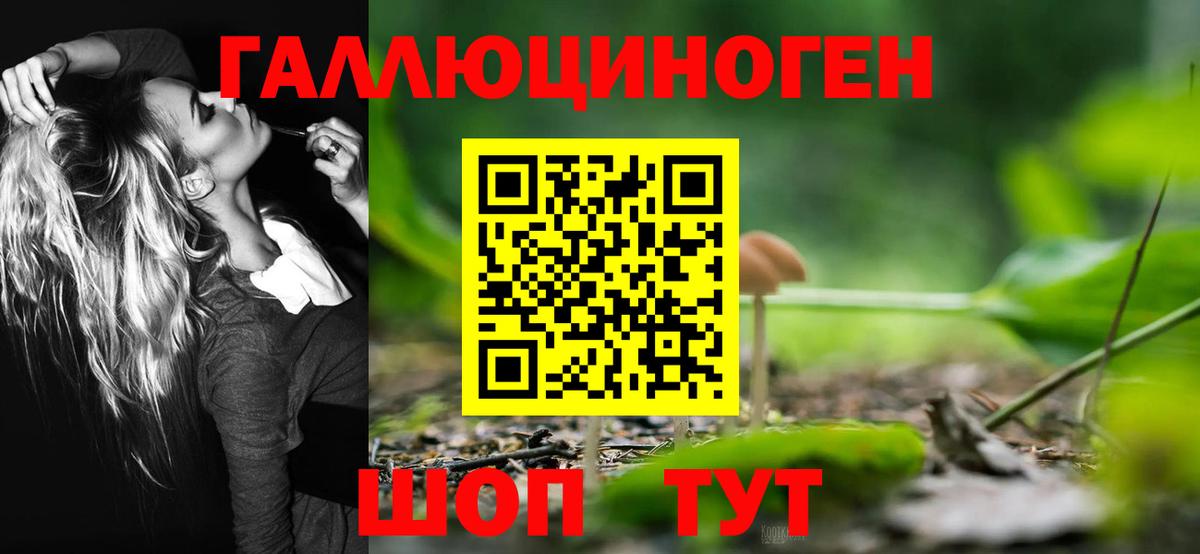Псилоцибиновые грибы MAGIC MUSHROOMS  Псилоцибиновые грибы MAGIC MUSHROOMS  Балтийск  Вход с VPN 
