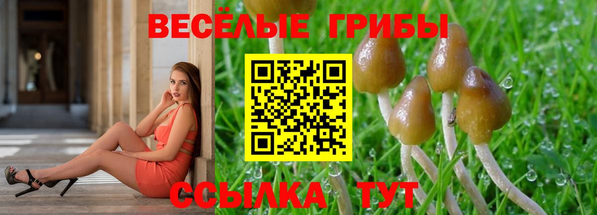 Псилоцибиновые грибы мухоморы Балтийск